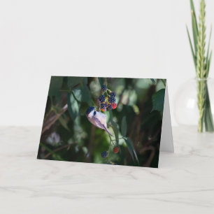 Carte Mésange à tête noire Joyeux Noël