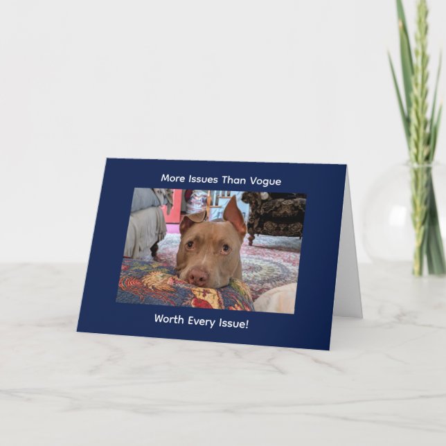 Carte Message drôle d'un Pit Bull nécessiteux (Devant)