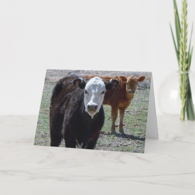 Carte Mete Félicitations Vet Graduate - Ranch Farm DVM (Devant)