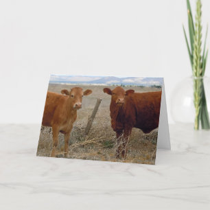 Carte Mete Vet Graduation Félicitations Ranch Farm DVM