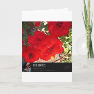 Carte Métro d'automne