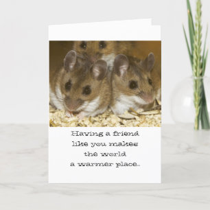 Carte Mice Friends Anniversaire