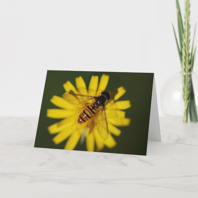 Carte Miel cool abeille sur la fleur dans la nature Phot (Devant)