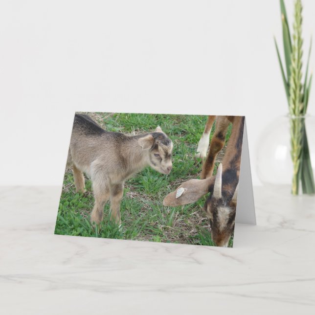 Carte Mieux goûter, maman (Devant)
