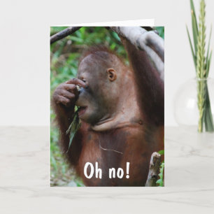 Carte Mignon 30e anniversaire animal photo