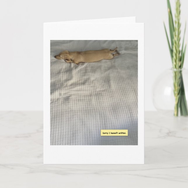 Carte Mignon, j'ai été occupé, le dachshund (Devant)