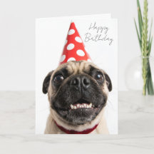 Mignon Pug Joyeux Anniversaire en Chapeau de Fête 