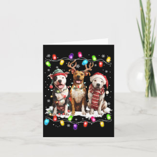 Carte Mignon Trois Pitbull Noël Femmes Hommes Amour Chie