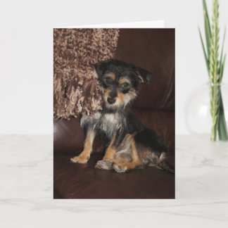 Carte Mignonne, adorable Fête des mères de chien