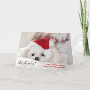 Carte Mignonne Chien Blanc Noir Bah Humbug