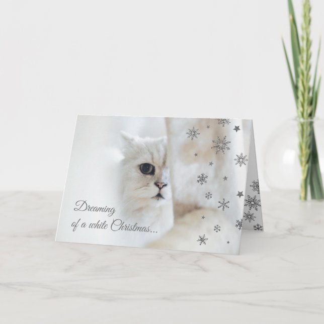 Carte mignonne de vacances de chat de Noël blanc (Devant)