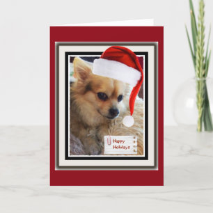 Carte mignonne de vacances de chienchien