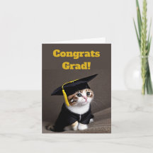 Mignonne Kitten Graduation