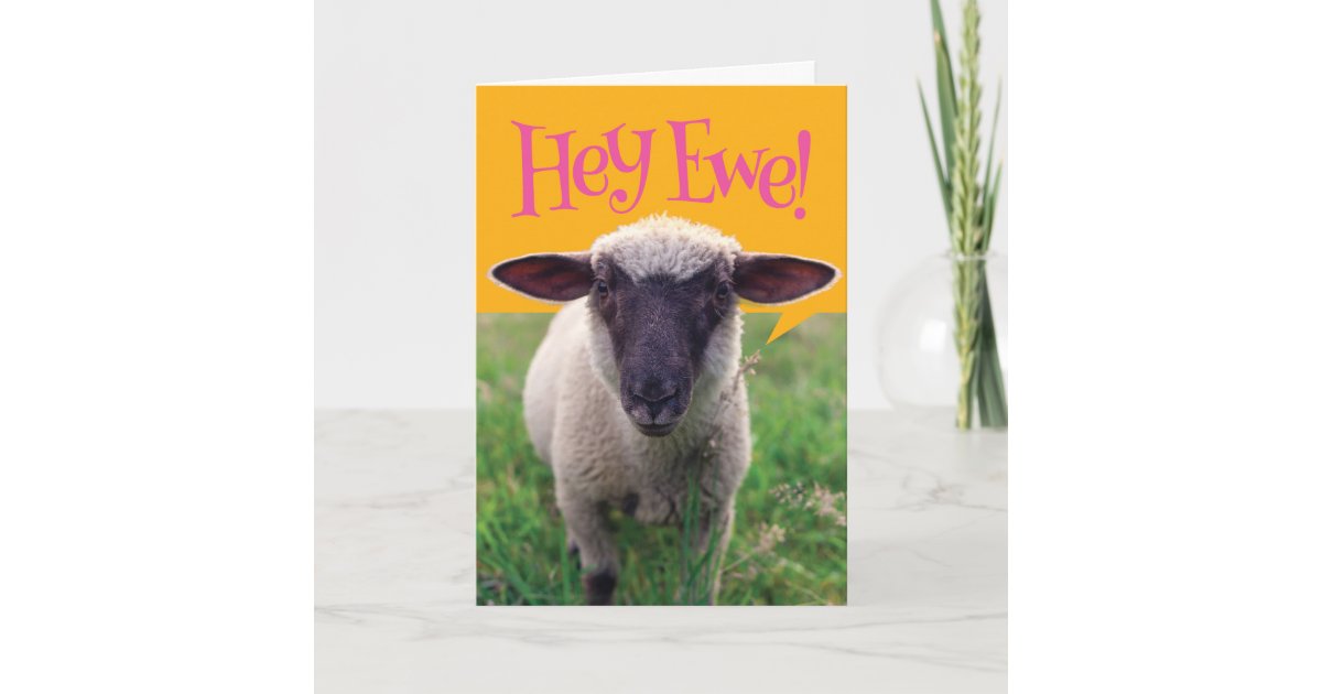 Carte Mignonne Mouton Dit Hey Ewe Joyeux Anniversaire Zazzle Fr