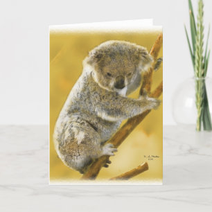 Carte Mignonne...Ours Koala...Carte !