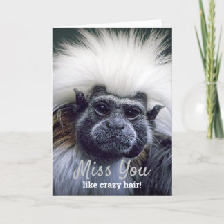 Carte Mignons Disparus, tu as mal aux cheveux