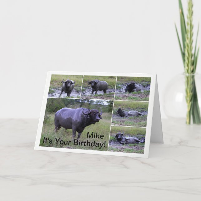 Carte Mike Joyeux Anniversaire Cape Buffalo Boud Bath (Devant)