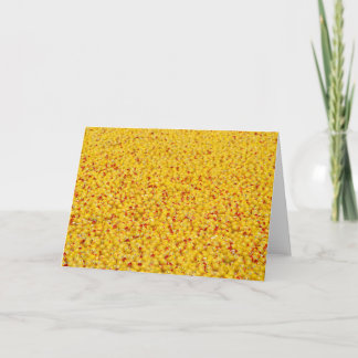 Carte Milliers de canards