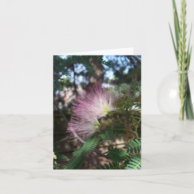 Carte Mimosa Flower Note (Devant)