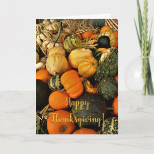 Carte Mini Citrouilles Et Gourds Assortiment Automne Pho