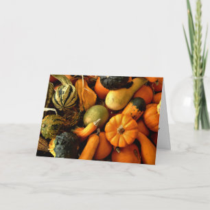 Carte Mini Citrouilles Et Gourds Assortiment Automne Pho