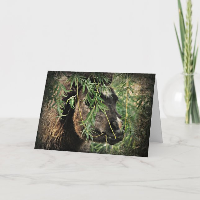 Carte Mini Être Onery, Anniversaire (Devant)