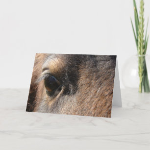 Carte Mini Mare Eye