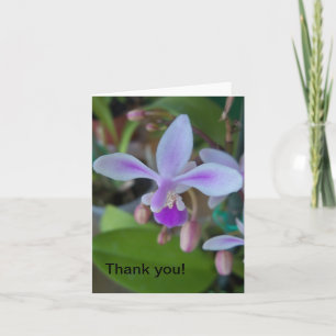 Carte Mini orchidée proche