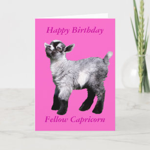 Cartes Chevre D Anniversaire Zazzle Fr