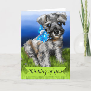 Carte Miniature Schnauzer Puppy Penser de vous