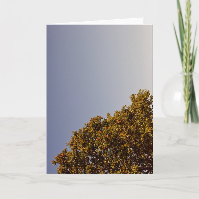 Carte Minimalisme arbre rowan courage sagesse guidance (Devant)