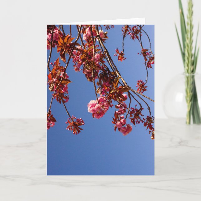 Carte Minimalisme Fleurs Roses Fleur de Cerisier Amour E (Devant)