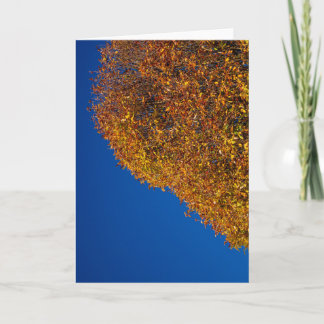 Carte Minimalisme Floraison d'Automne Nostalgie Gratitud