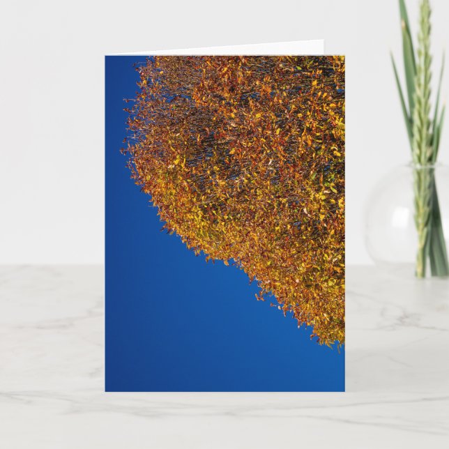 Carte Minimalisme Floraison d'Automne Nostalgie Gratitud (Devant)