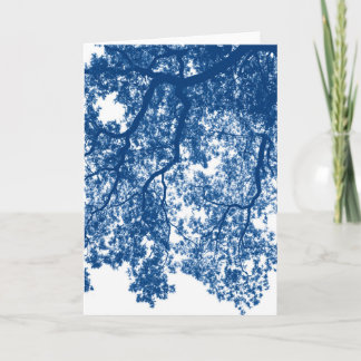 Carte Minimalisme forêt bois arbre bain de forêt