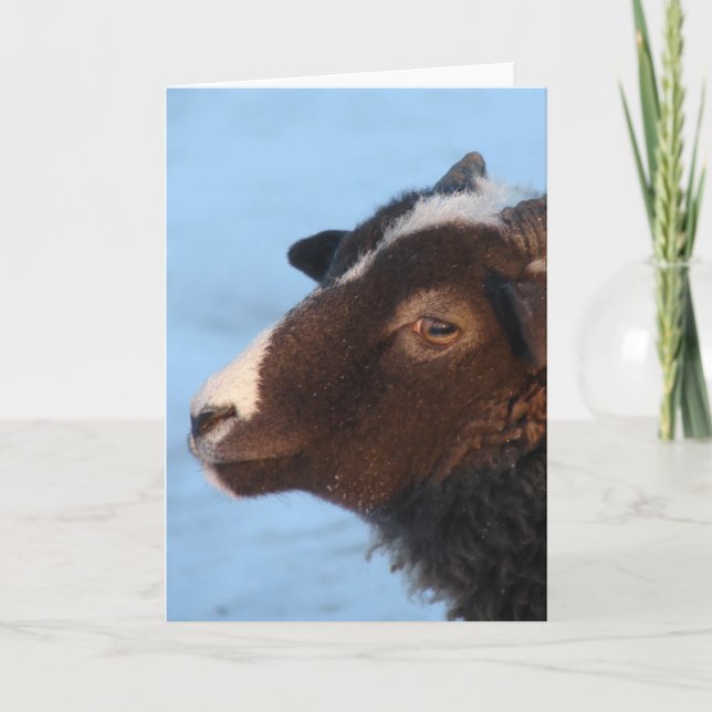 Carte Minuscule (Devant)