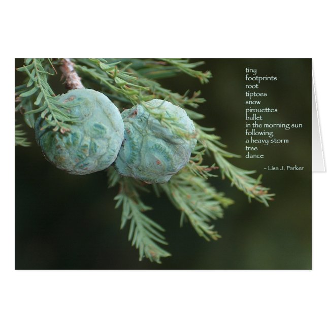 Carte minuscule de poème d'empreintes de pas (Devant horizontal)