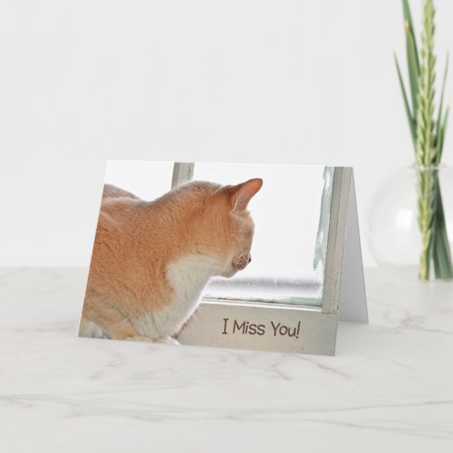Carte Miss chat You dans la fenêtre (Devant)