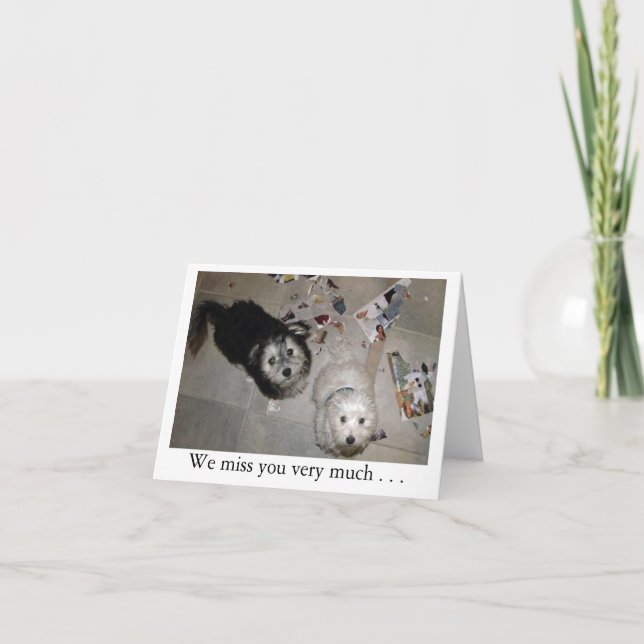 Carte Miss Puppies (Devant)