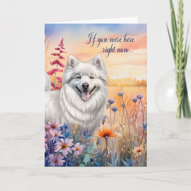 Carte Miss Vous American Eskimo Chien Fleur sauvage Mead (Devant)