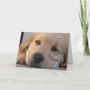 Carte Miss You Puppy Golden Puppy