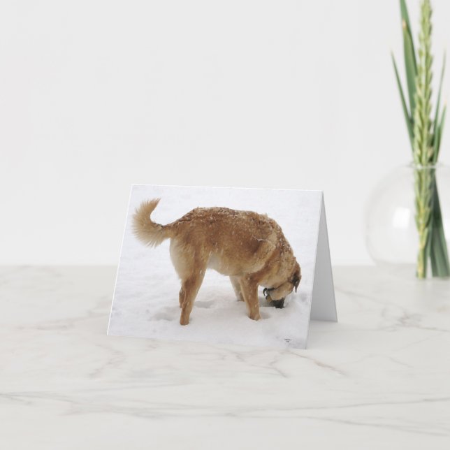 Carte Miss You So Much, Je suis bizarre - Western (Devant)