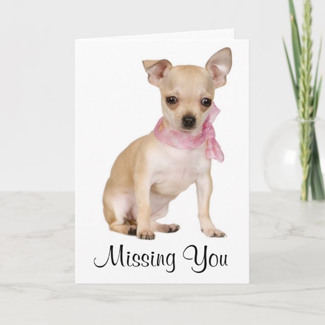 Carte Missing You Chihuahua Puppy Dog Greeting Card (Devant)