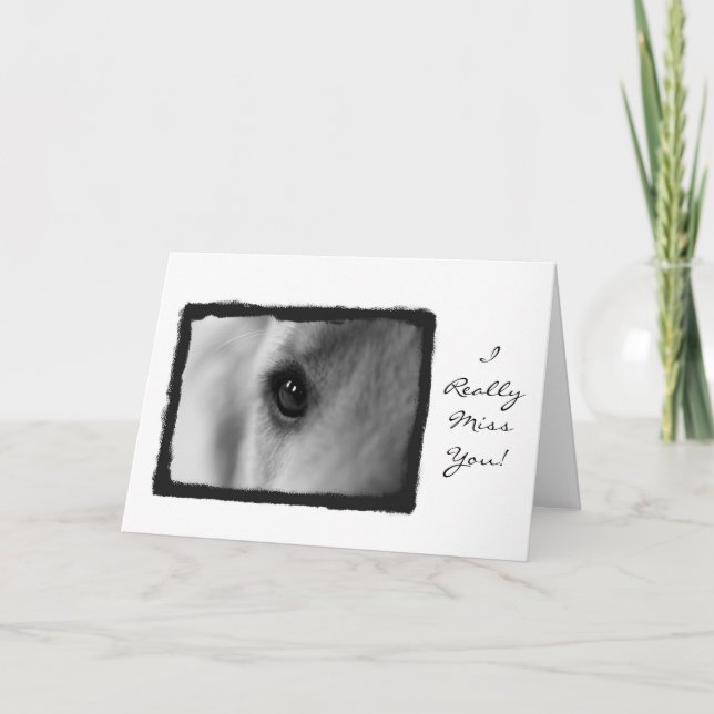 Carte Mlle que vous cardez (Devant)