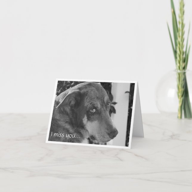 Carte Mlle U Card (Devant)