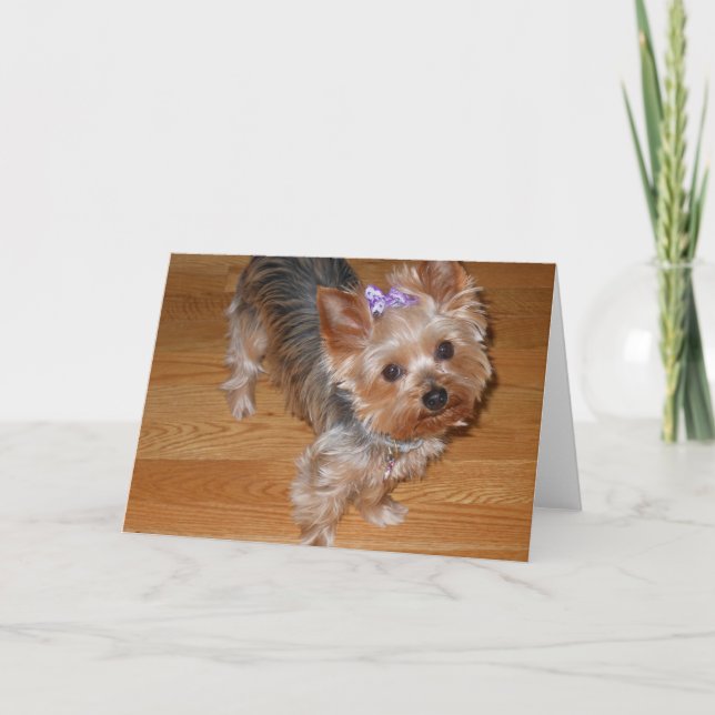 Carte Mlle You (Devant)