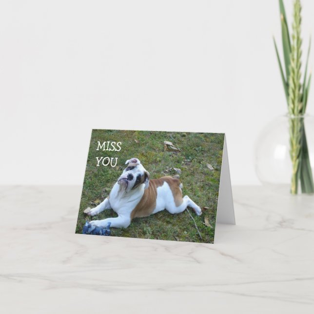 CARTE MLLE YOU CARD DE CHIEN (Devant)