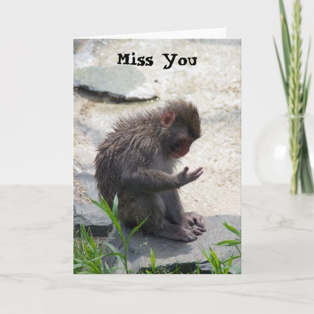 Carte Mlle You Monkey Card (Devant)