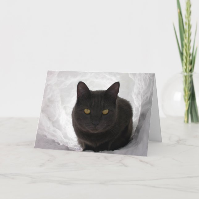 Carte Moby dans la neige (Devant)