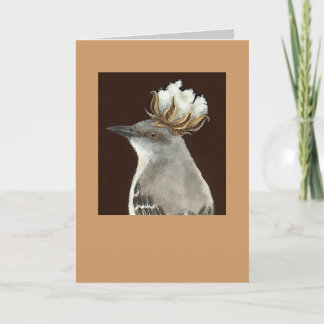carte mockbird, Bucephelus